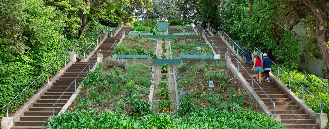 Peralta Heights Cleveland Cascade X2